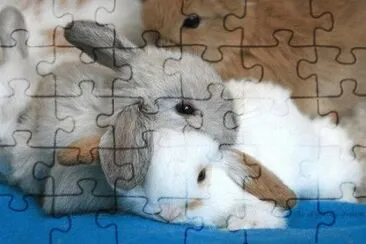 lapins jigsaw puzzle