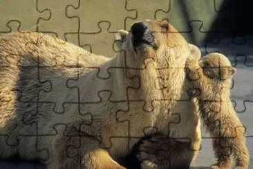 ours jigsaw puzzle