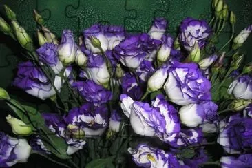 Lisianthus jigsaw puzzle