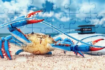 Blue Crab