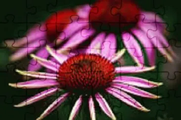 flower 2 jigsaw puzzle