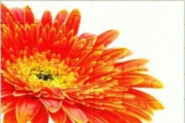 flower 3 jigsaw puzzle