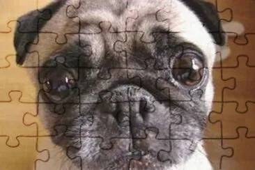 perrito7 jigsaw puzzle