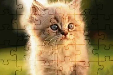 gatito7 jigsaw puzzle