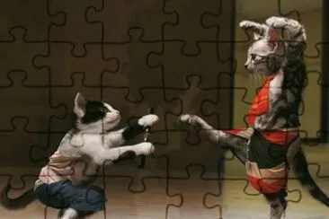 gatos jigsaw puzzle