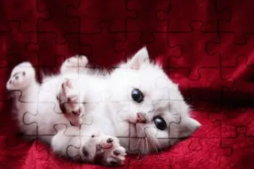 gatito13 jigsaw puzzle