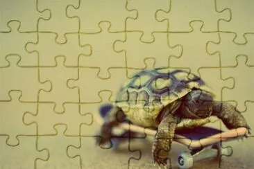 tortuga jigsaw puzzle