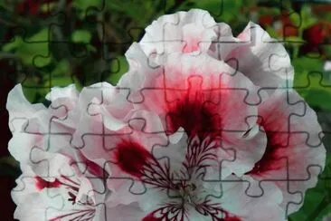 fleurs jigsaw puzzle