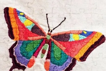 Color Butterfly