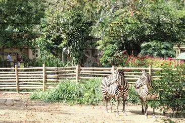 Paisaje, animales y humanos compartiendo