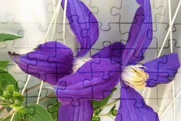 Purple Flower jigsaw puzzle