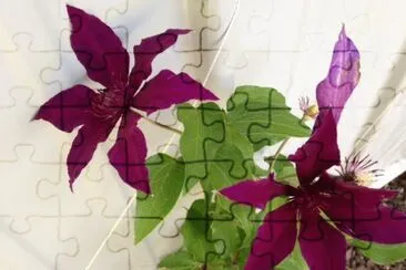 Red Flowers jigsaw puzzle