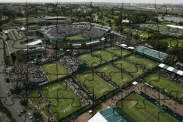 Wimbledon, tenis.