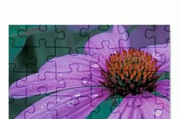 fleur jigsaw puzzle