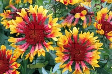 פאזל של gaillardes