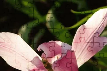 pink jigsaw puzzle