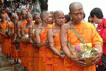 Thai Monks