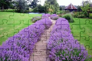 JARDIN  DE LAVANDA