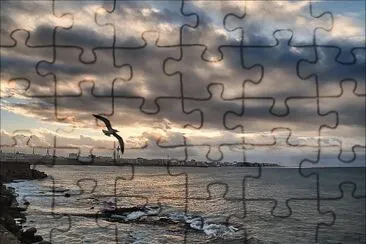 24 jigsaw puzzle