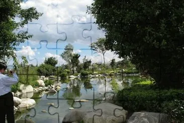 DALI jigsaw puzzle