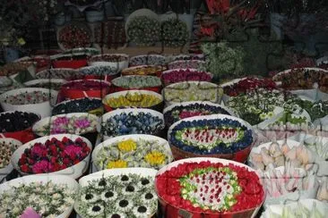 Ã©tal au marchÃ© aux fleurs