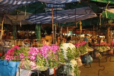 marchÃ© aux fleurs