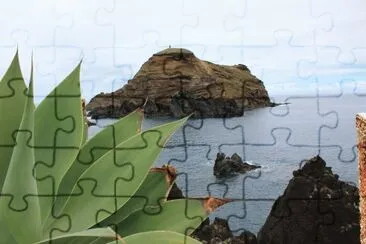 madeire jigsaw puzzle