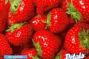 fresas