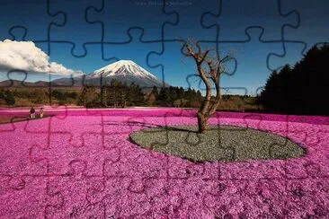 PAISAJE jigsaw puzzle