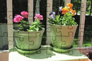 פאזל של Flowers