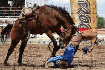 VAQUERO Y BRONCO