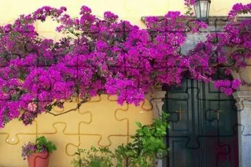 PUERTA CON FLORES Y PLANTAS.