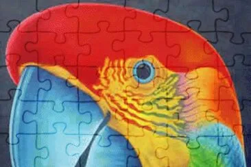 Arara jigsaw puzzle