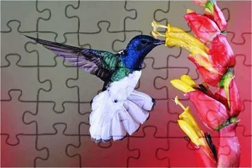 62 jigsaw puzzle