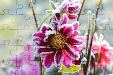 fleur jigsaw puzzle