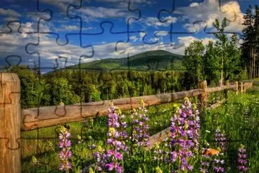  jigsaw puzzle