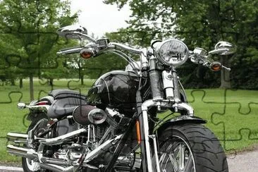 Harley Davidson - Springer Beauty