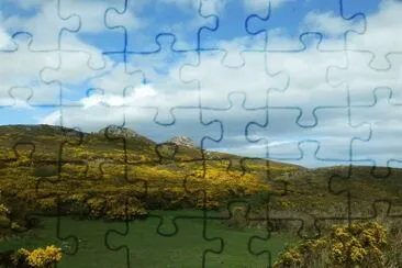 Bray jigsaw puzzle