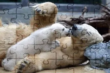 ours jigsaw puzzle