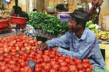 Madagascar Market