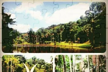 Areas do Jardim BotÃ¢nico - SP jigsaw puzzle