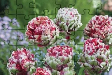 fleurs jigsaw puzzle