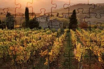 ViÃ±edos de La Toscana jigsaw puzzle