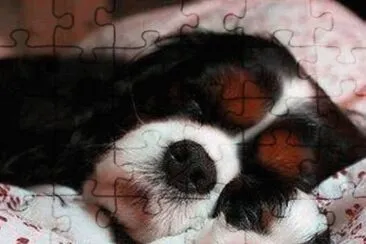 dog and pup jigsaw puzzle