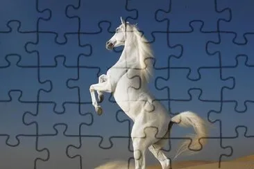 white horse jigsaw puzzle