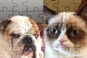 grumpy and friend jigsaw puzzle