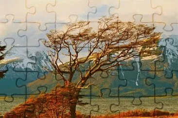 La Patagonia es hermosa en todos los paisajes que nos entrega jigsaw puzzle