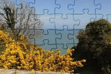 wicklow jigsaw puzzle