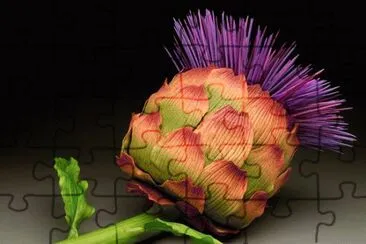 פאזל של Artichoke