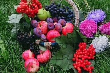 פאזל של fleurs fruits